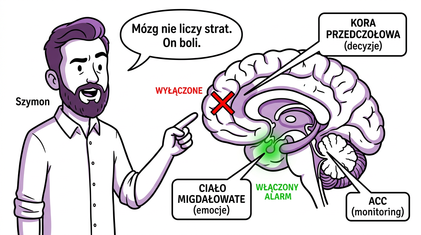Diagram mózgu z podświetlonymi obszarami — ciało migdałowate z alarmem włączonym, kora przedczołowa wyłączona, ACC monitorujące konflikty. Szymon z tabliczką: Mózg nie liczy strat. On boli.