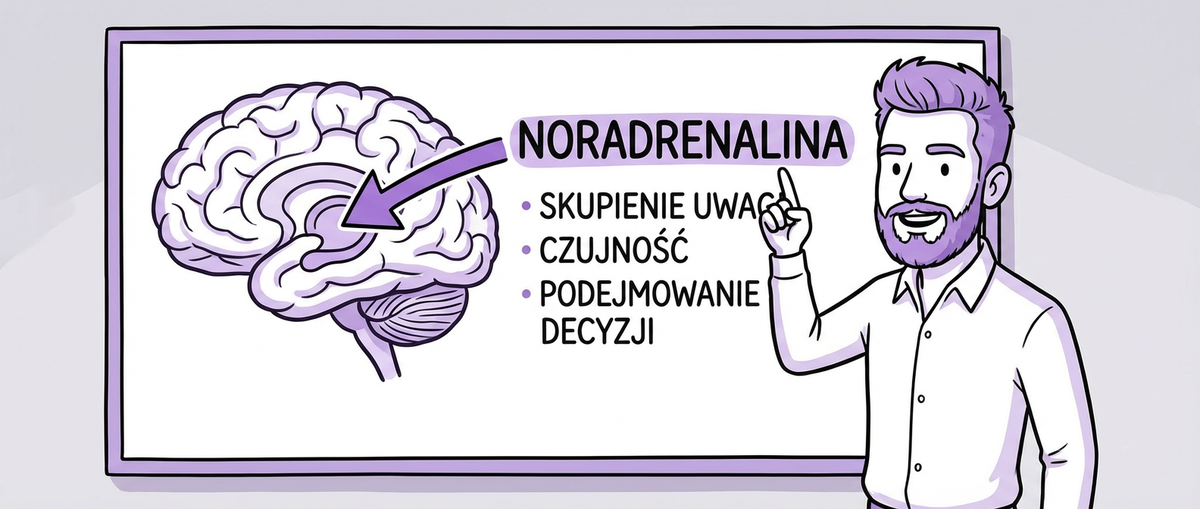 Skąd nazwa noraline?
