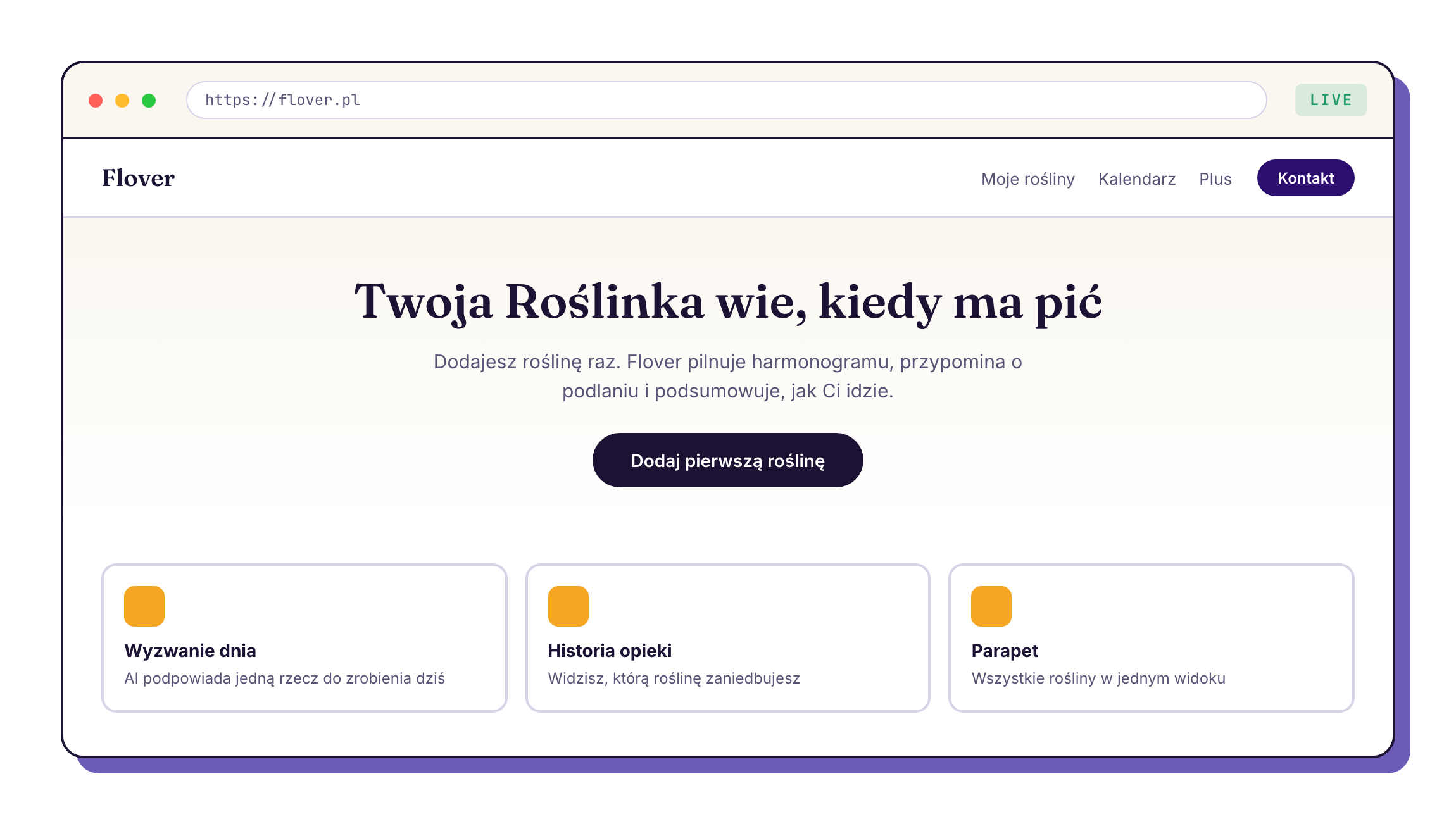 Publikacja i pierwsi użytkownicy